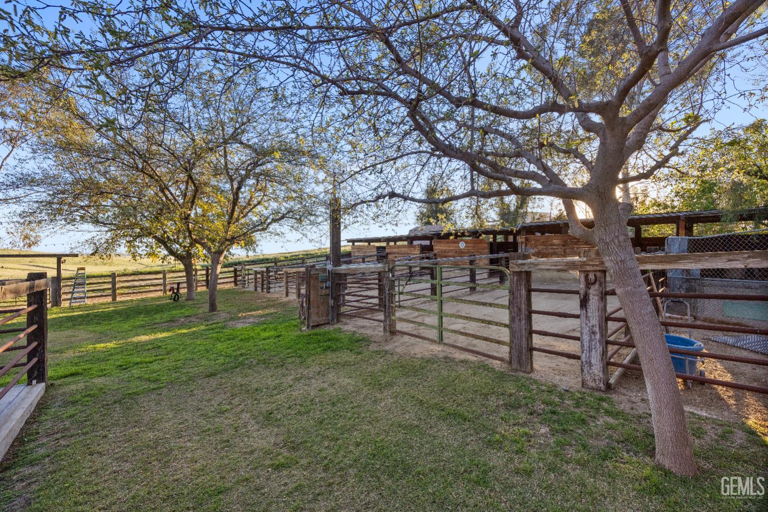 12147 Cliff Avenue — photo 30