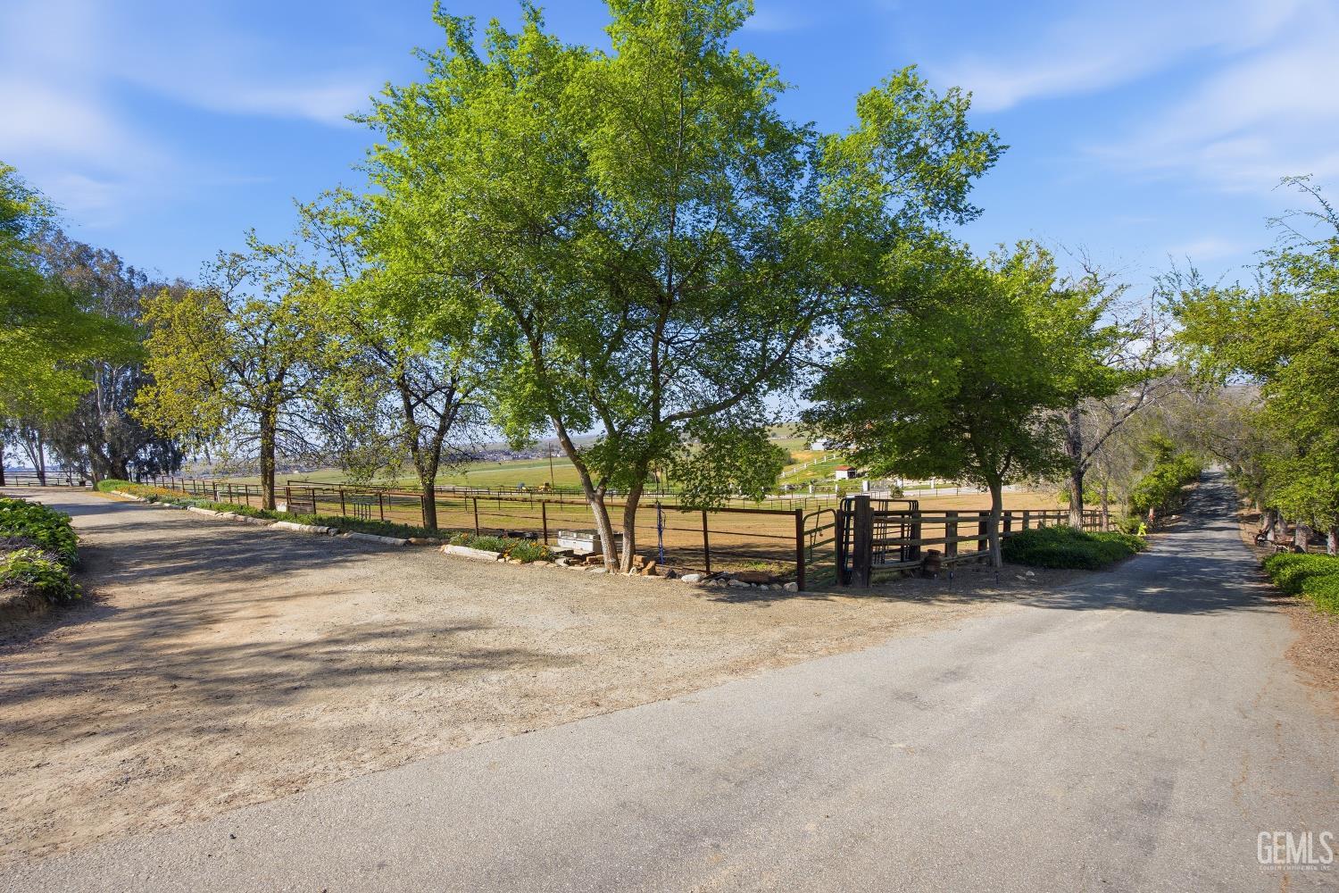 12147 Cliff Avenue — photo 14