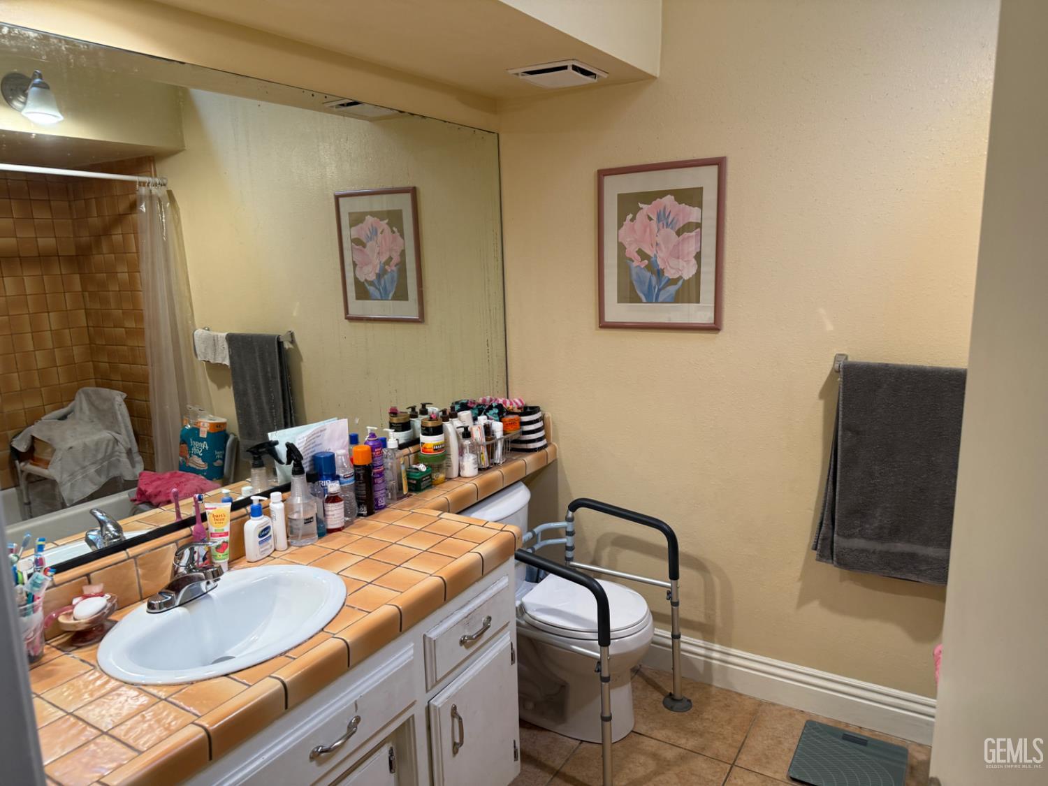 3520 Snowflake Court — photo 8