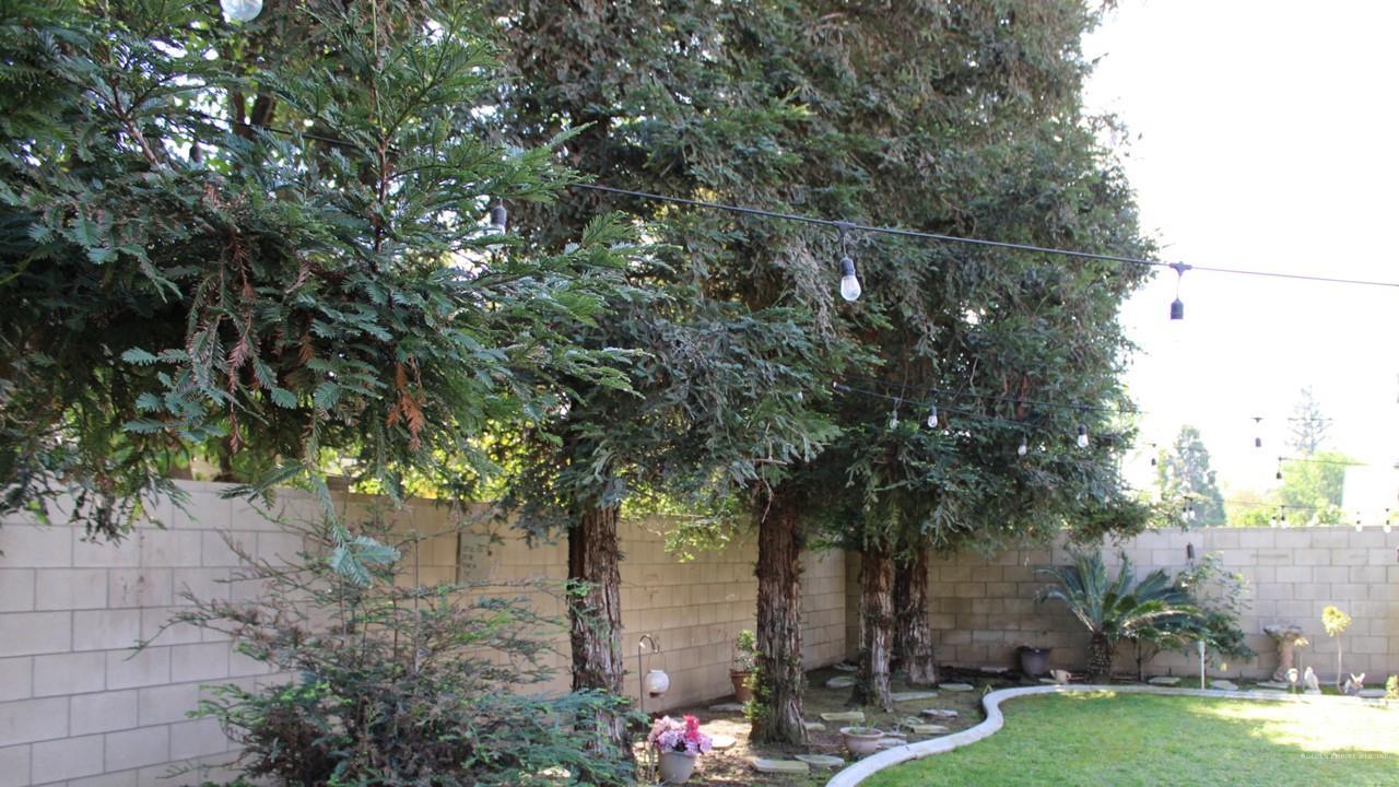 7505 Chinese Mountain Way — photo 14