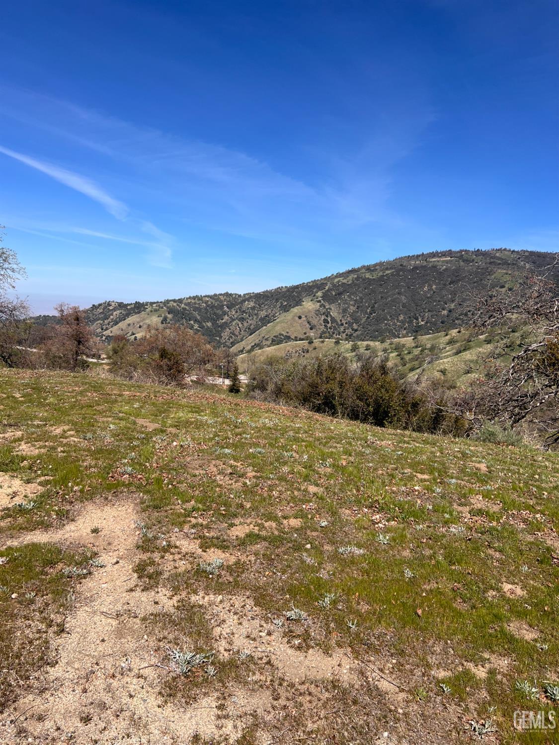 24200 Canyon Court — photo 5