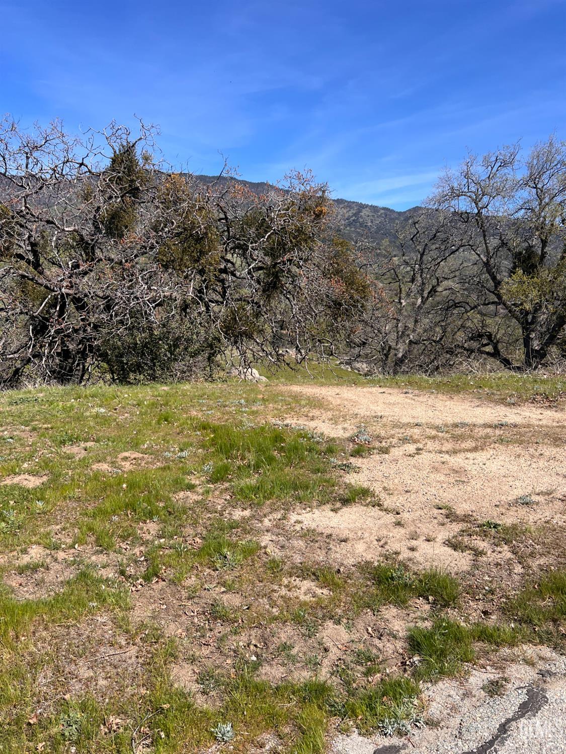 24200 Canyon Court — photo 4