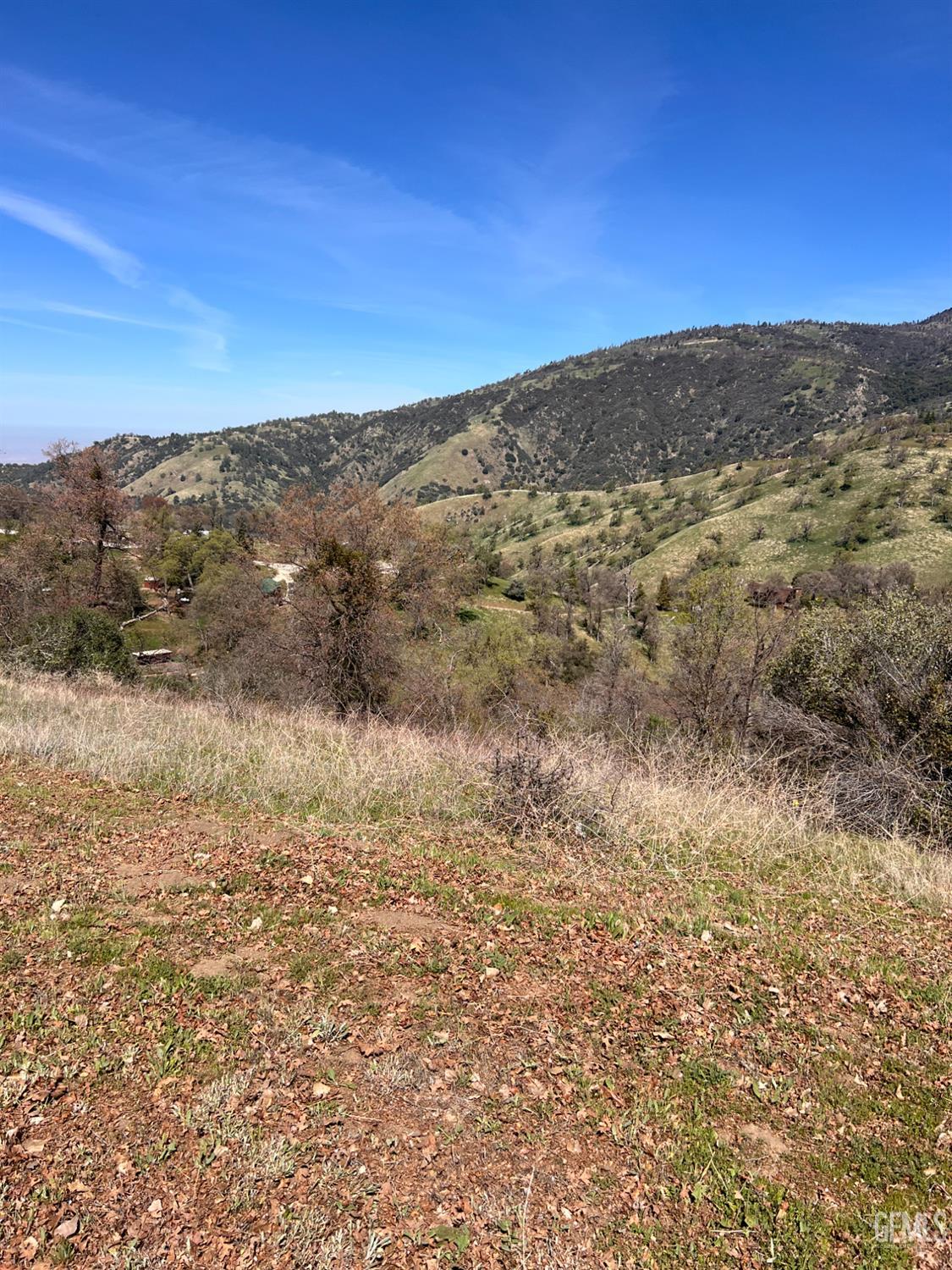 24200 Canyon Court — photo 5