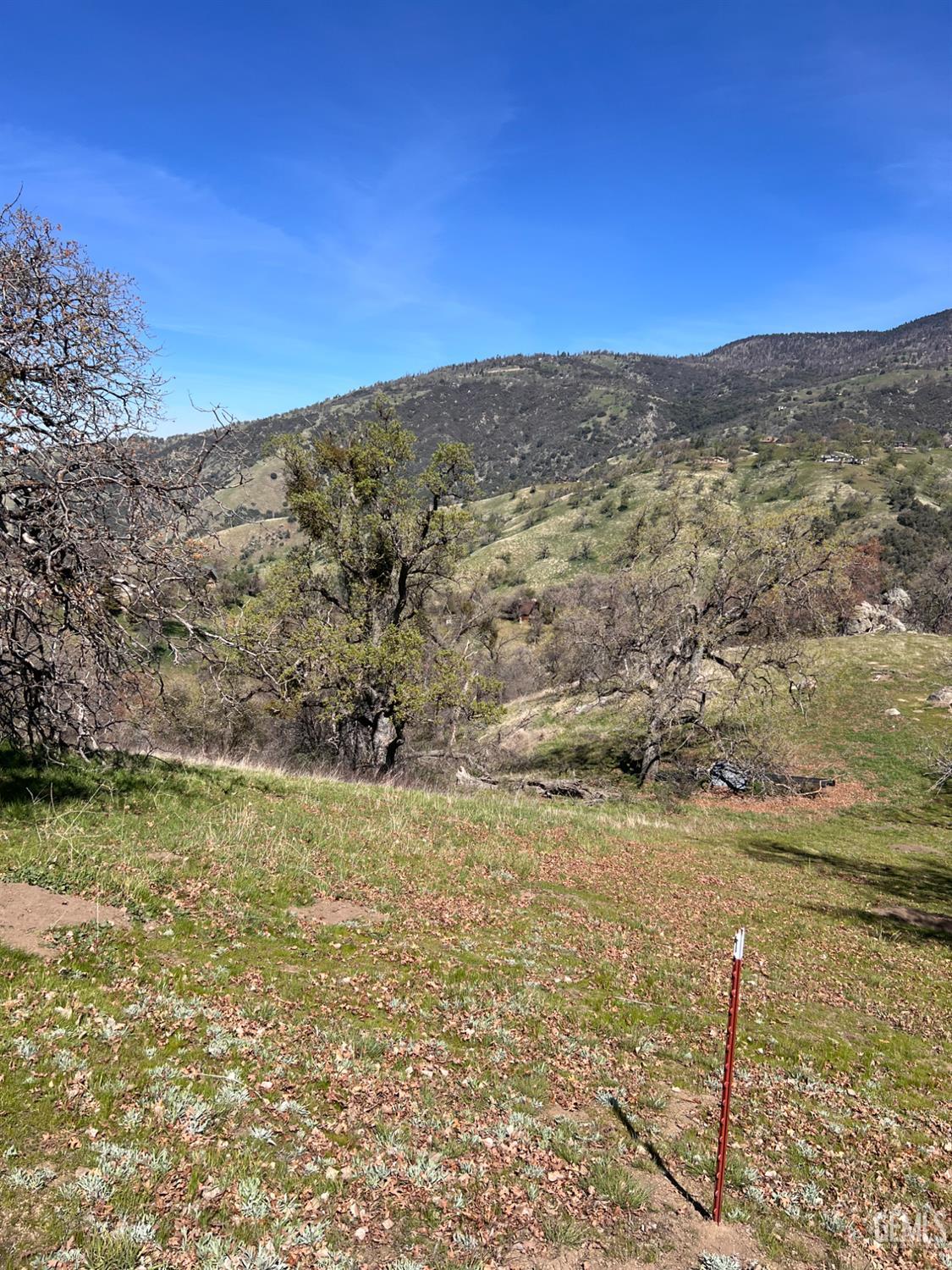 24200 Canyon Court — photo 3