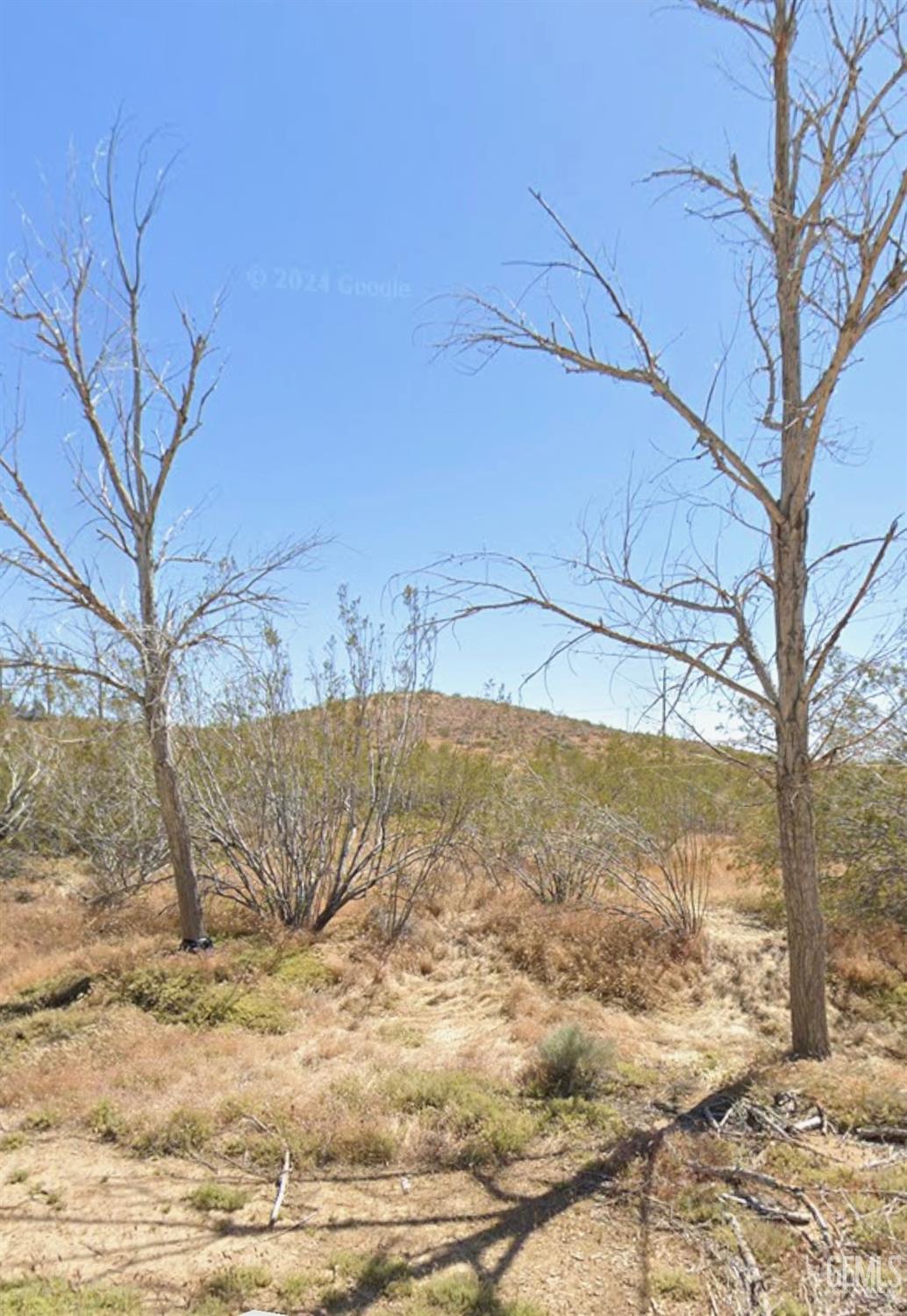 Aristotle Drive — photo 5