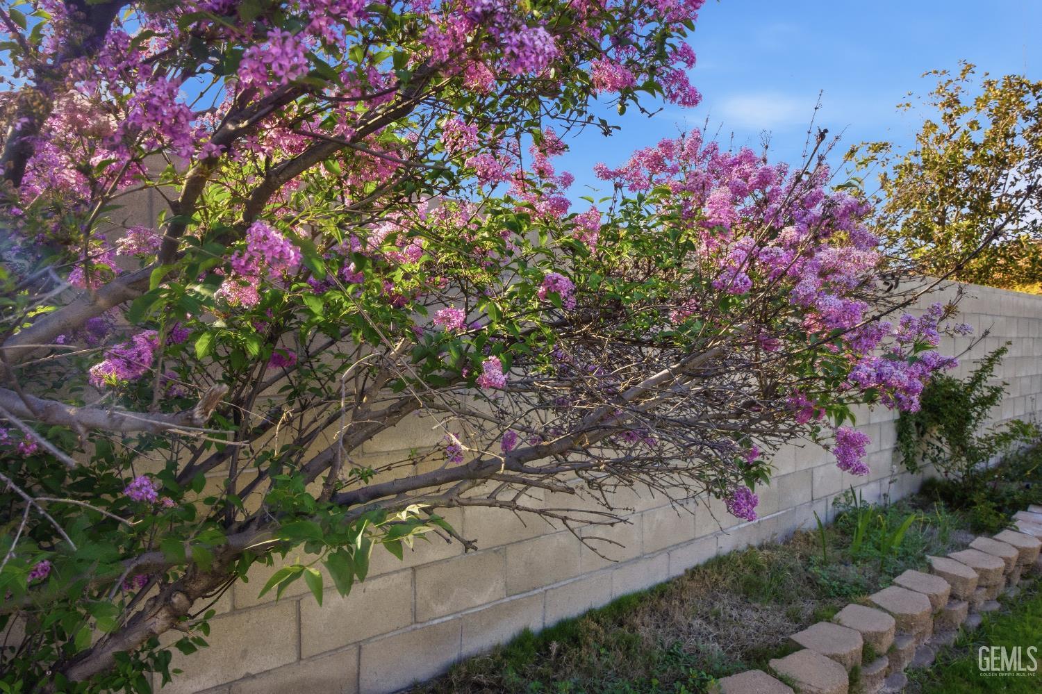 6507 Tulocay Court — photo 38