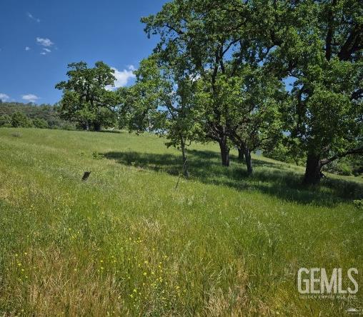 28251 Deertrail Drive — photo 5