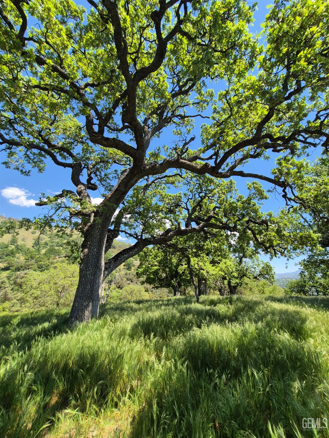 28251 Deertrail Drive — photo 3