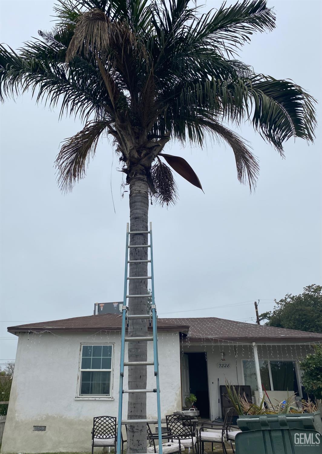 2228 College Avenue — photo 5