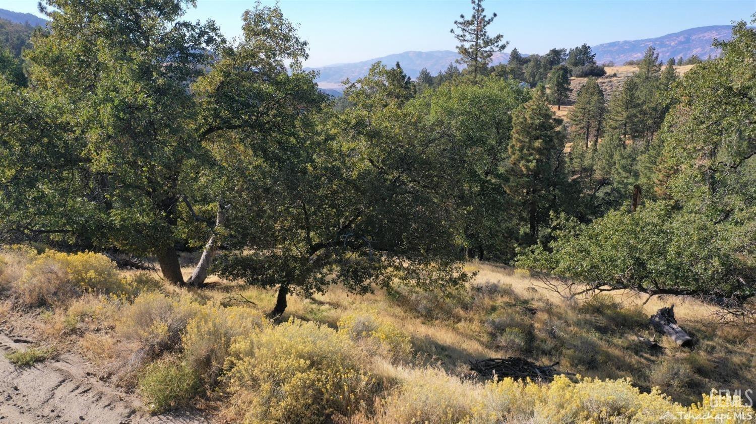 16851 Interlaken Street — photo 3