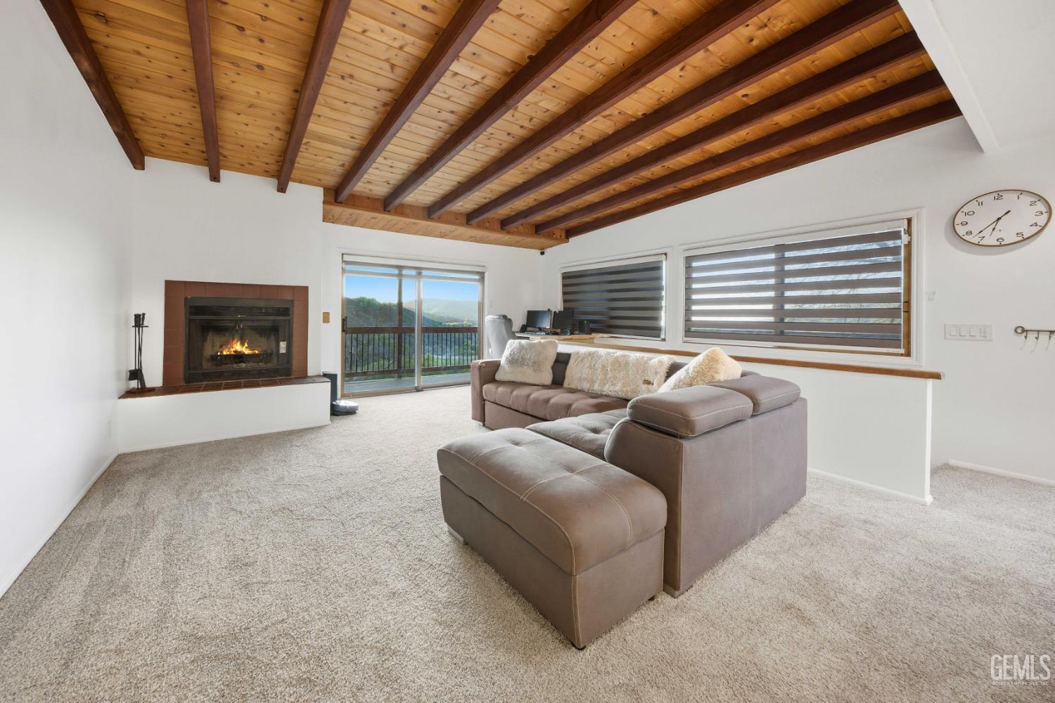 29801 Skyline Drive — photo 11