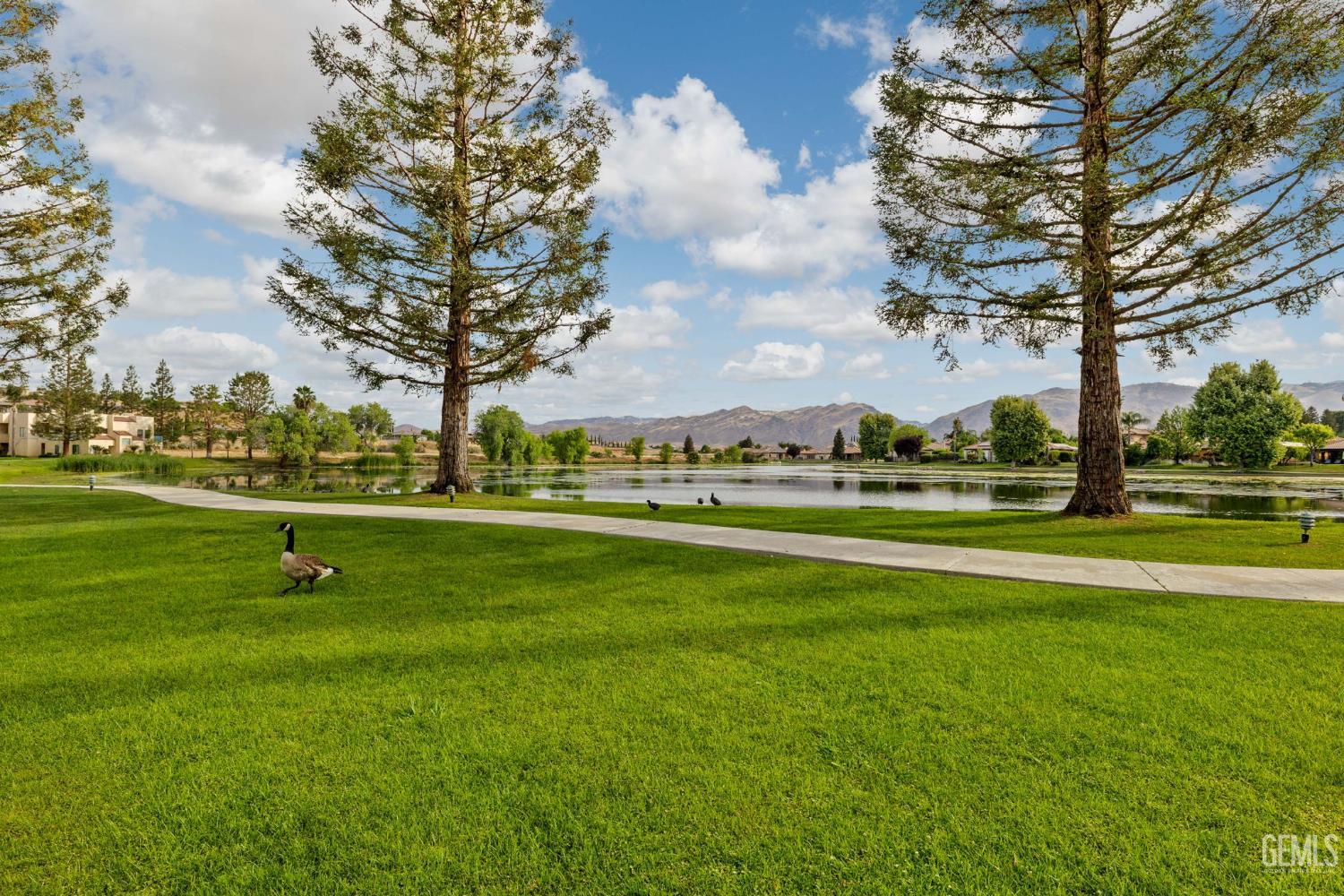 14500 Las Palmas Drive — photo 56