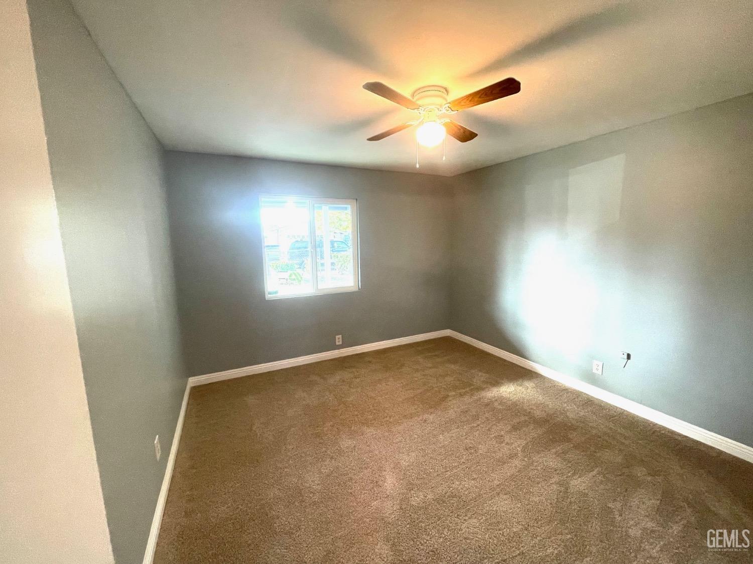 347 Northrup Street — photo 11