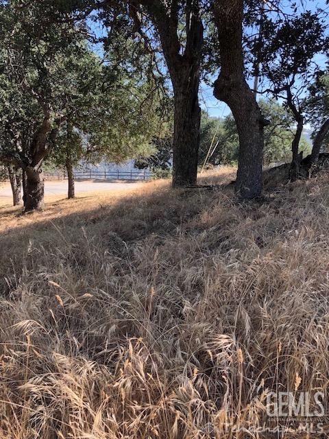 25900 Derrick Court — photo 5