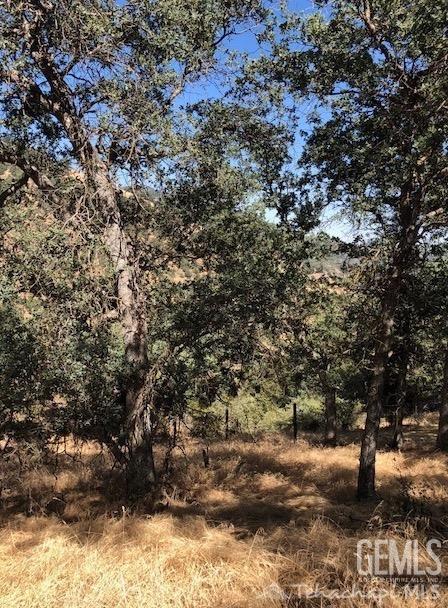 25900 Derrick Court — photo 4