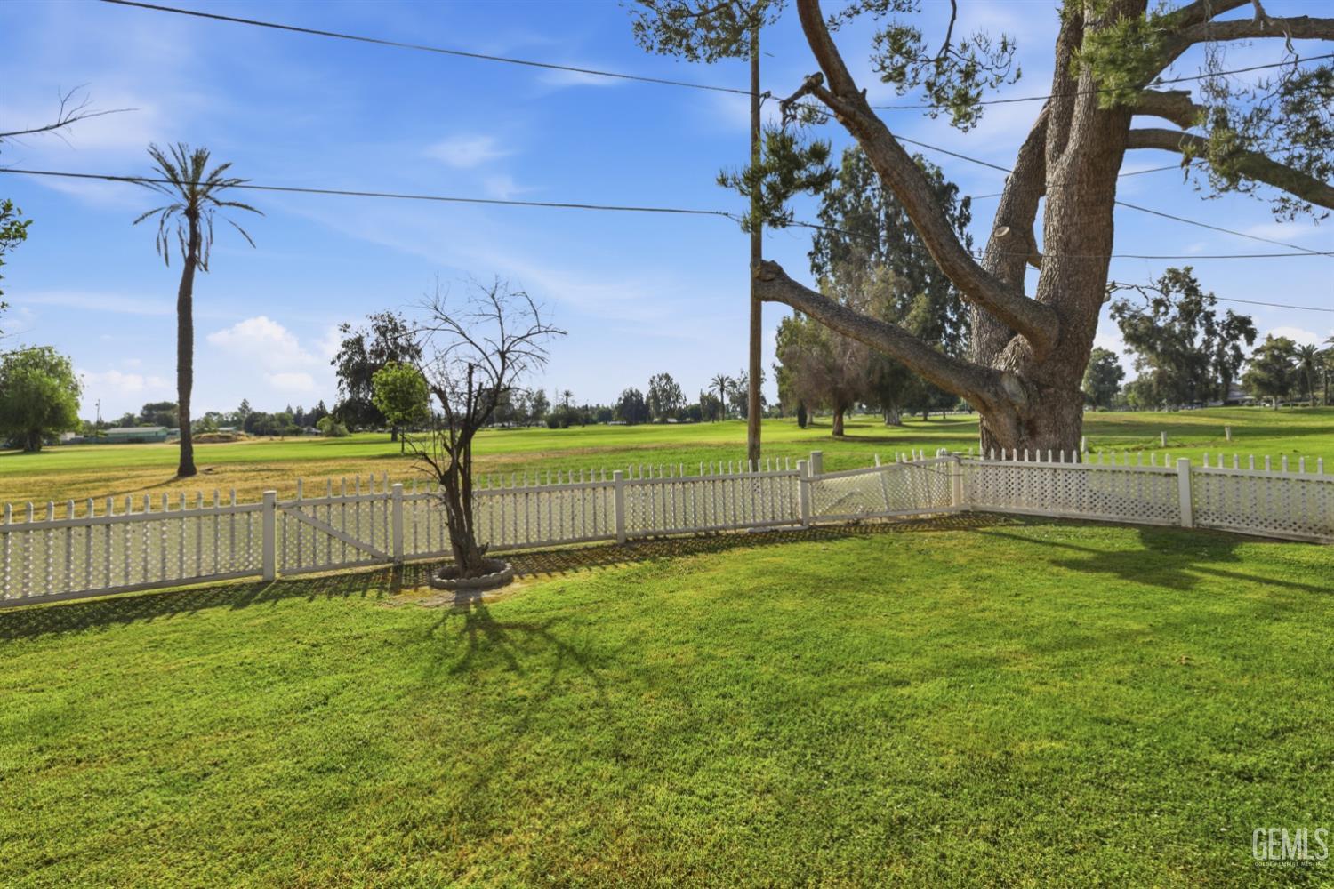 900 River Oaks Drive — photo 15