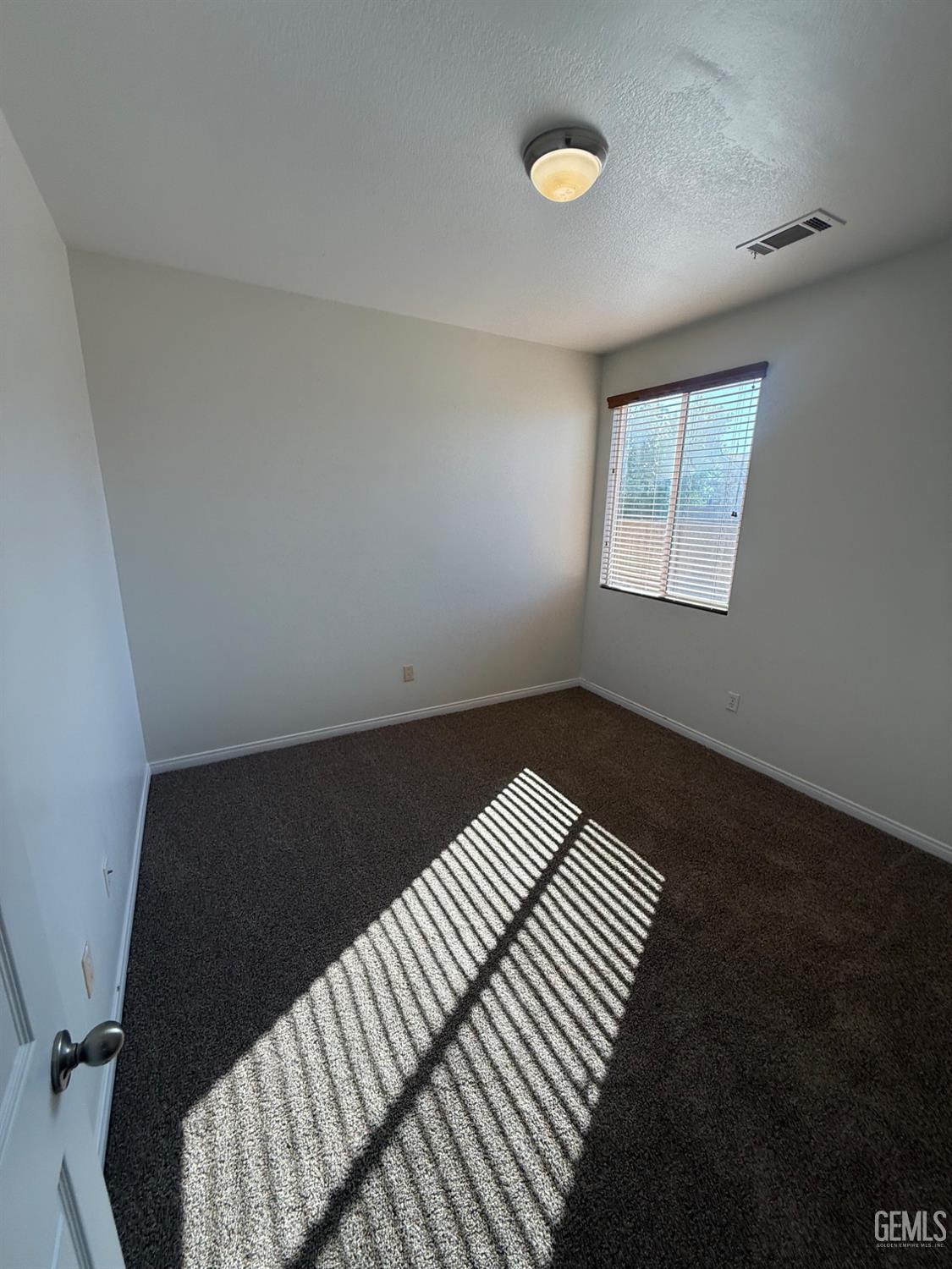 11927 Blanket Flower Drive — photo 21