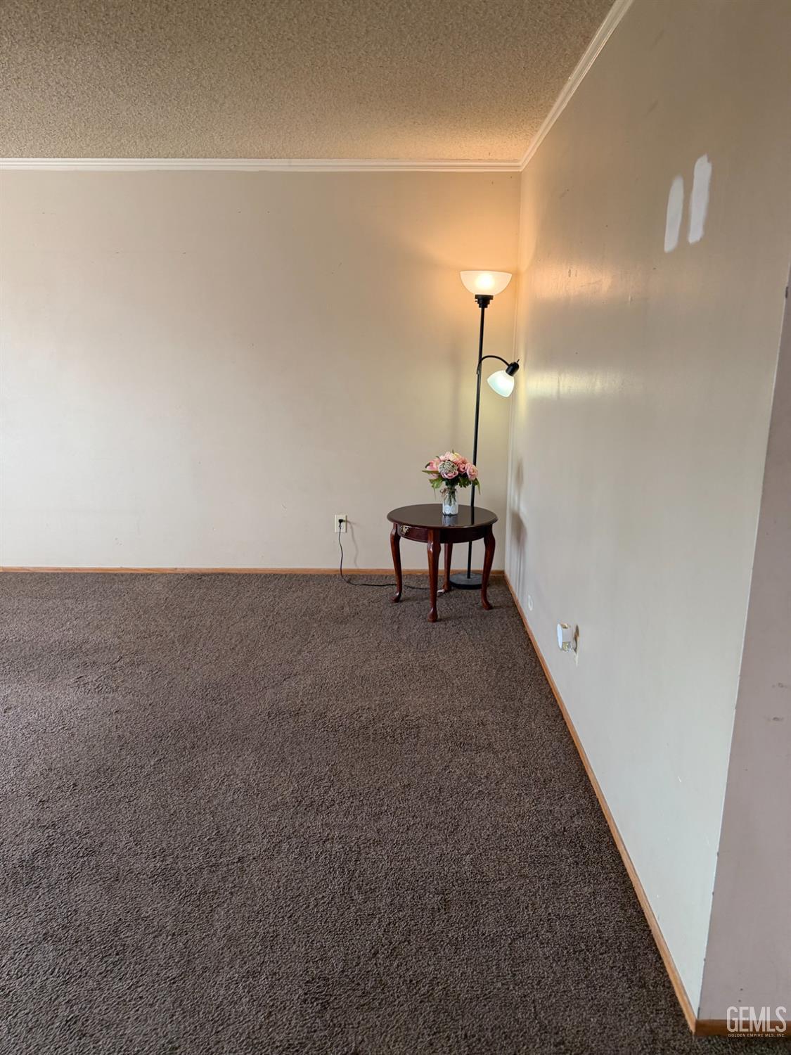 7904 Nettie Court — photo 4