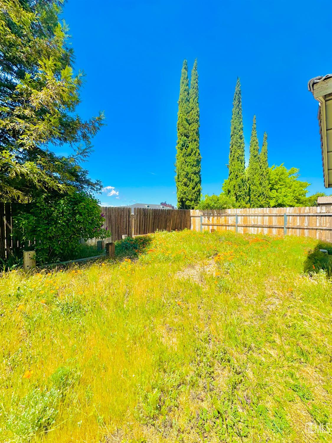 1173 Redwood Court — photo 23