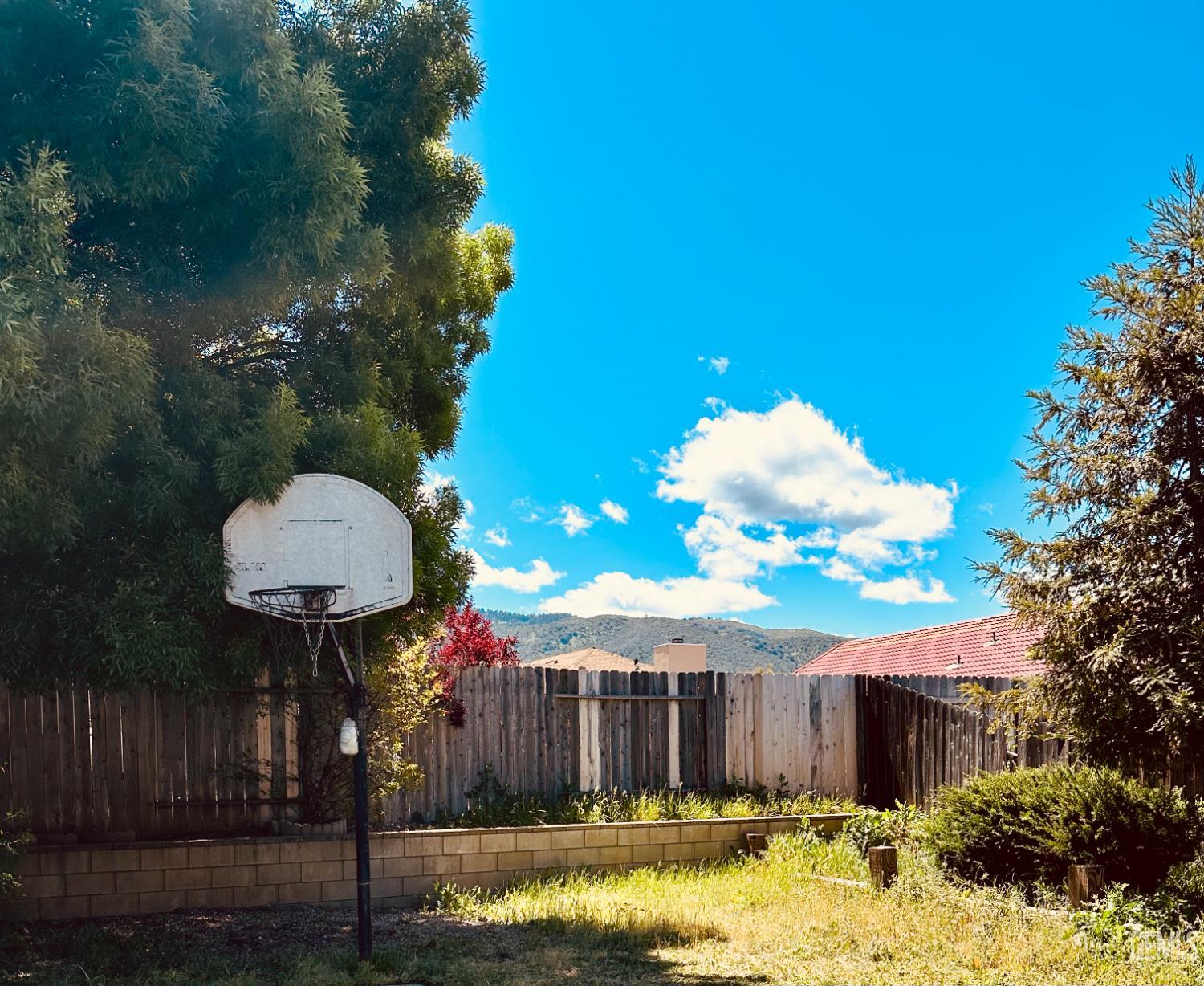 1173 Redwood Court — photo 25