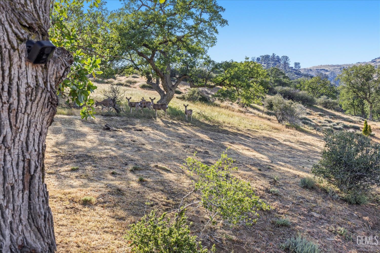 21704 Quail Springs Road — photo 48