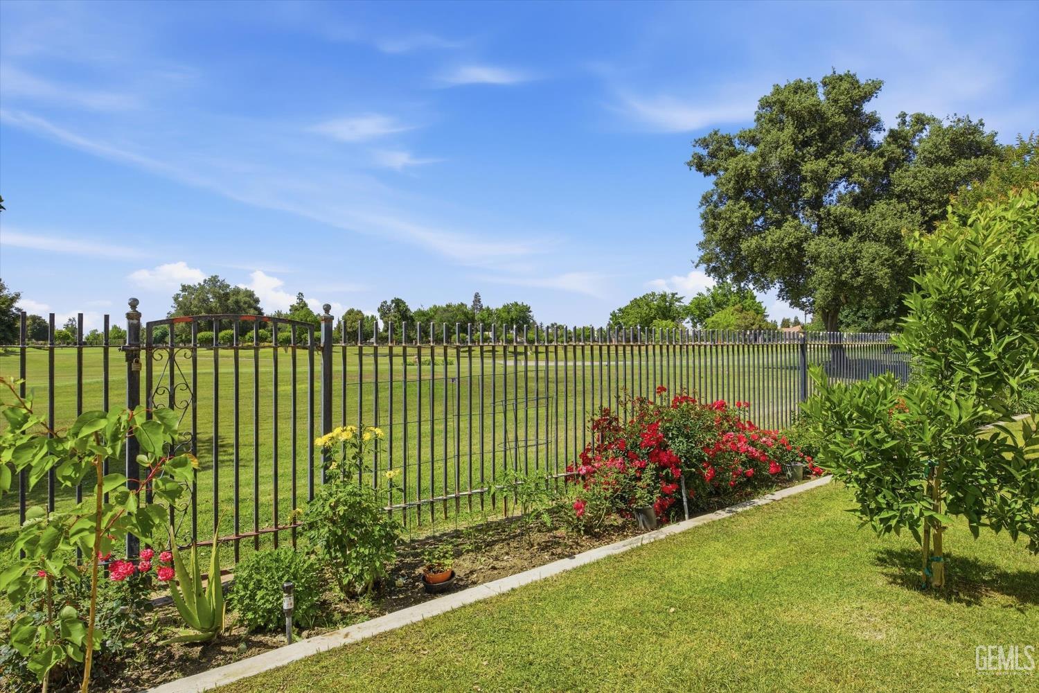 10104 Dutch Iris Drive — photo 34