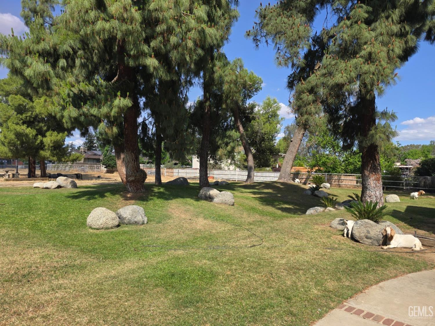 9517 Eucalyptus Drive — photo 17