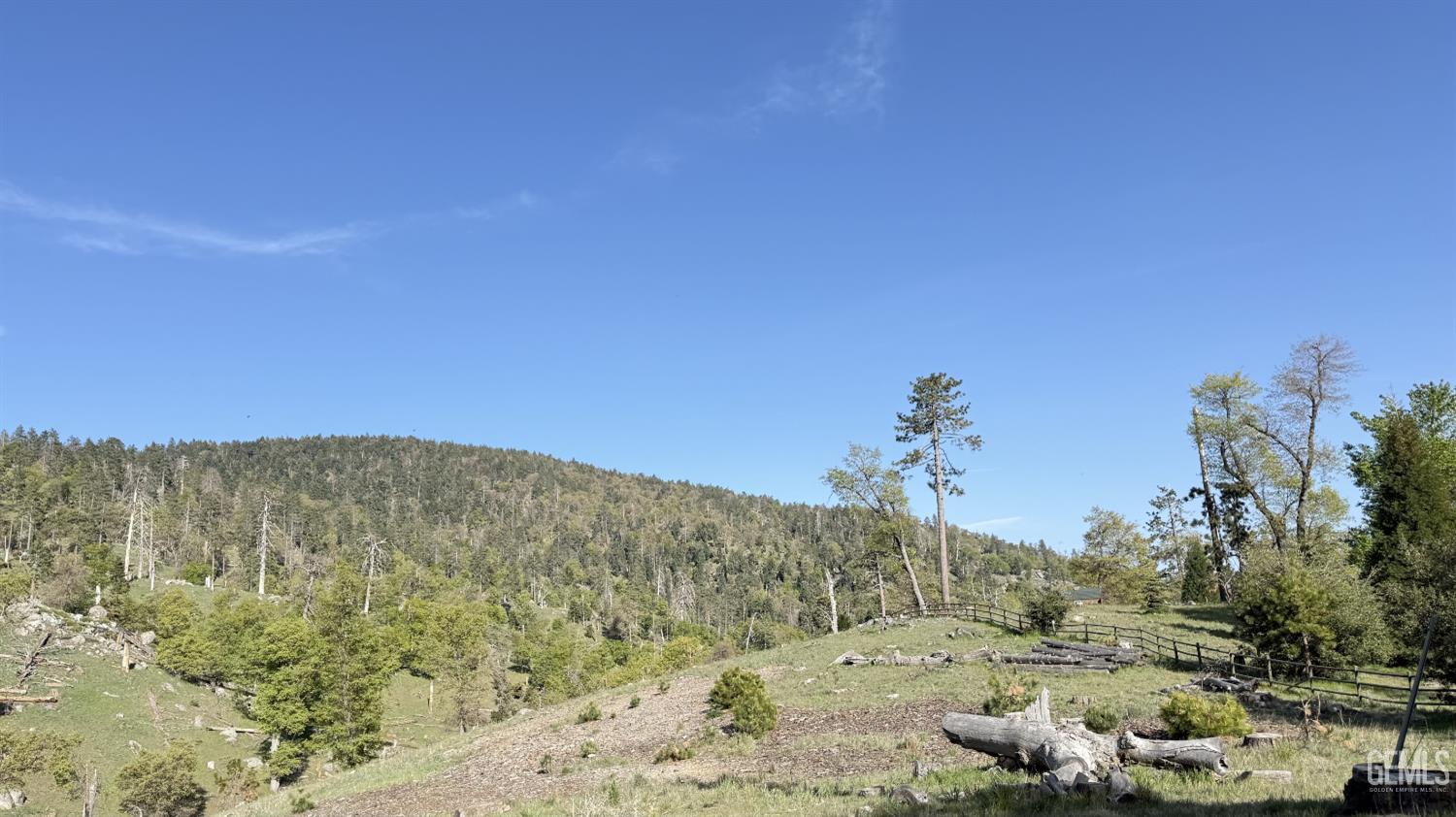 26880 Medicine  Bow Court — photo 5