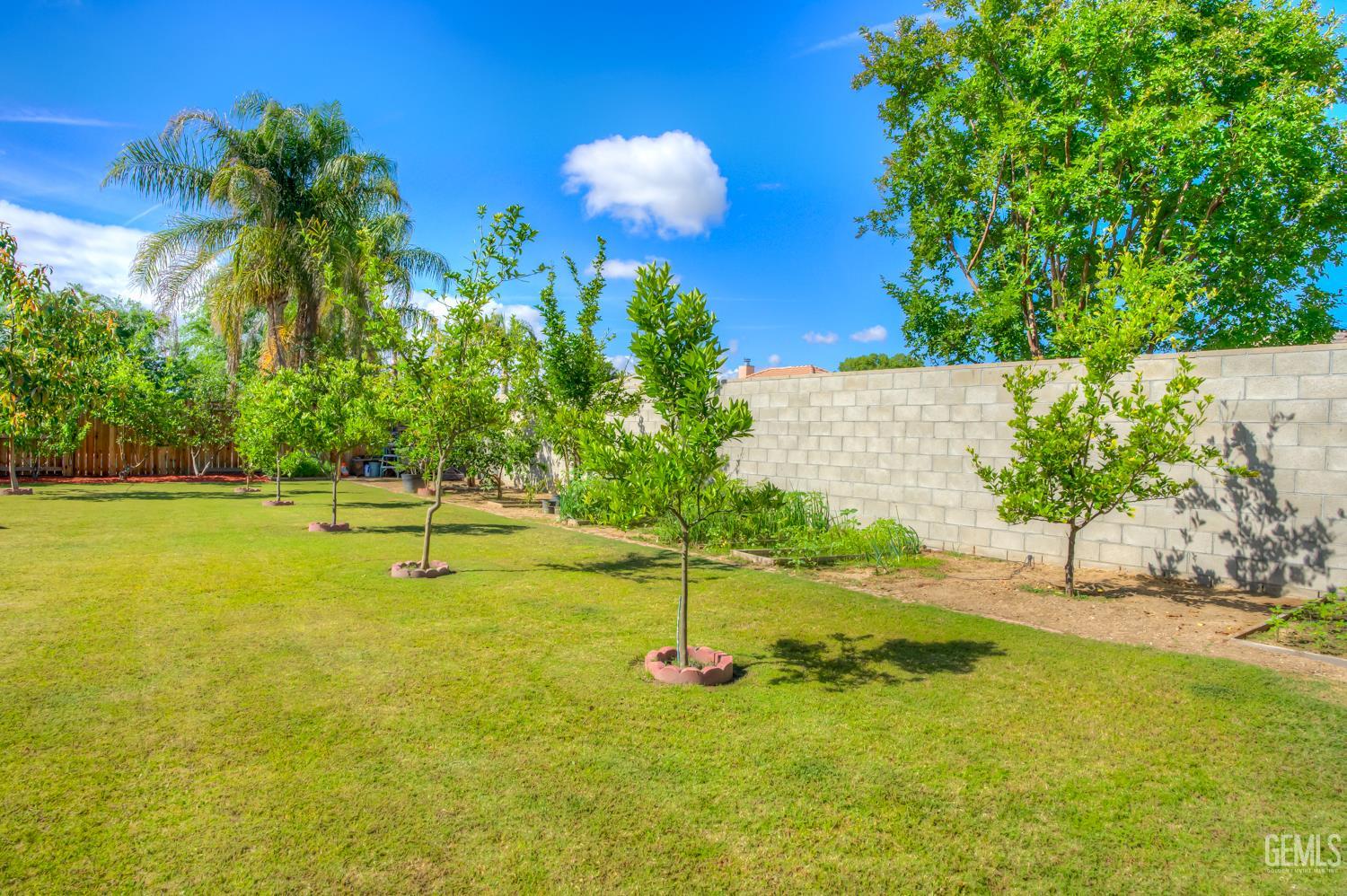 2441 Ollie Court — photo 36