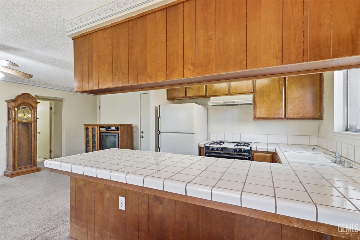 4500 Blossom Valley Lane — photo 13
