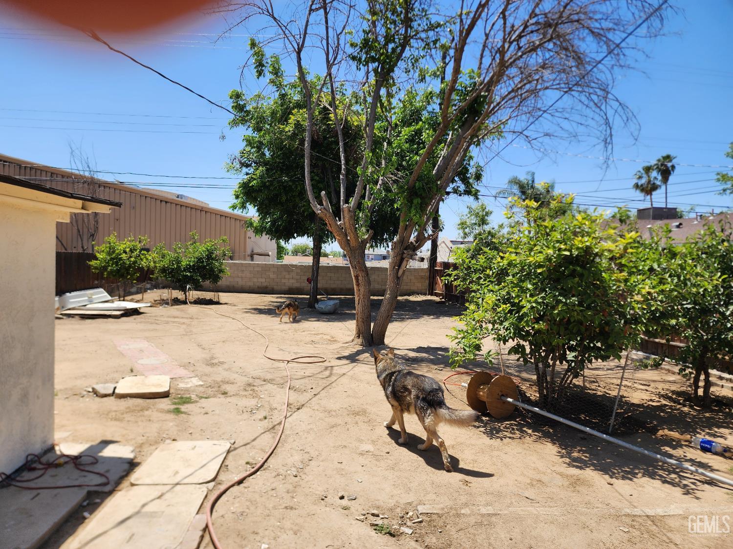 2107 Oregon Street — photo 5