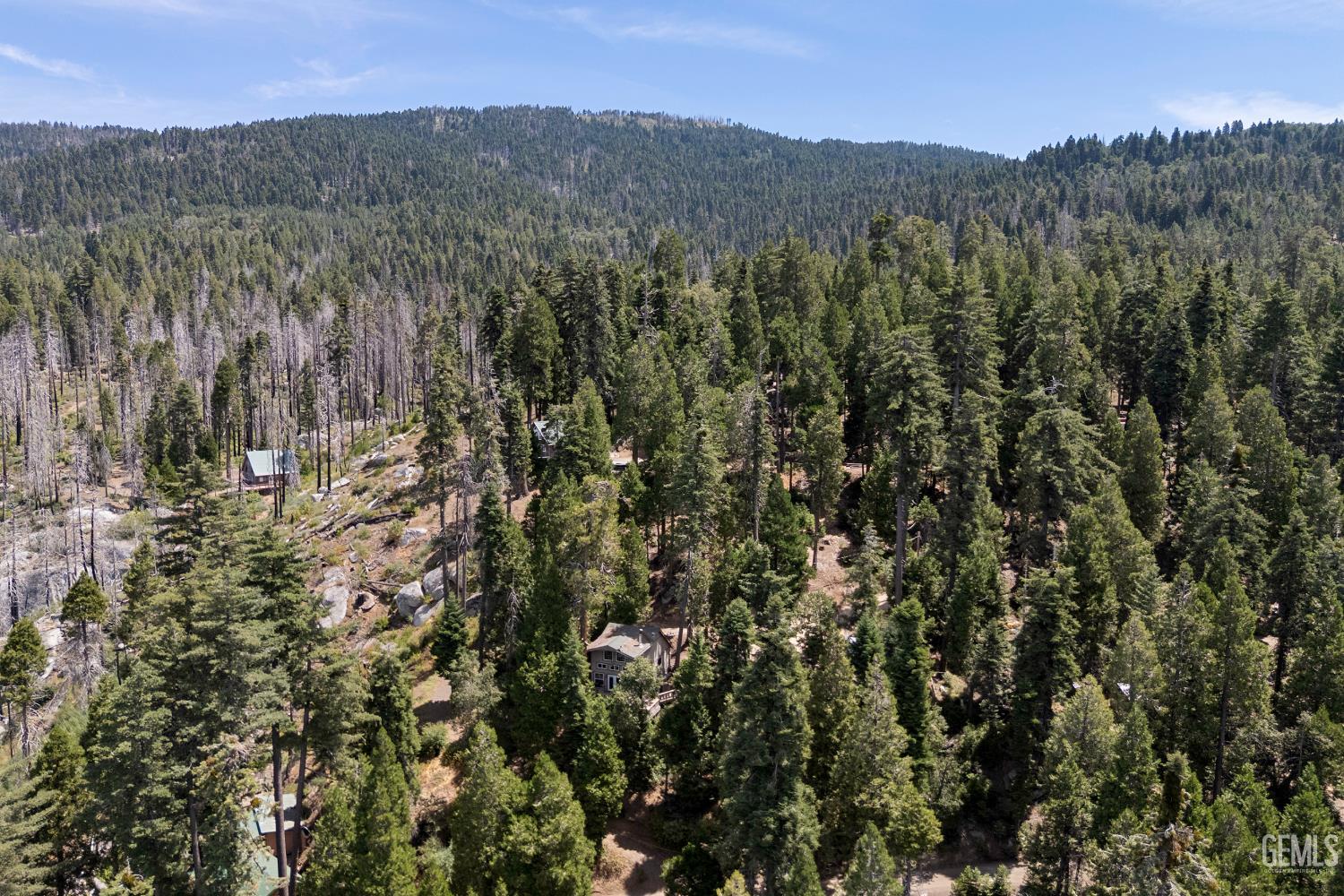 48663 Benson Trail, Posey, CA 93260 — photo 51