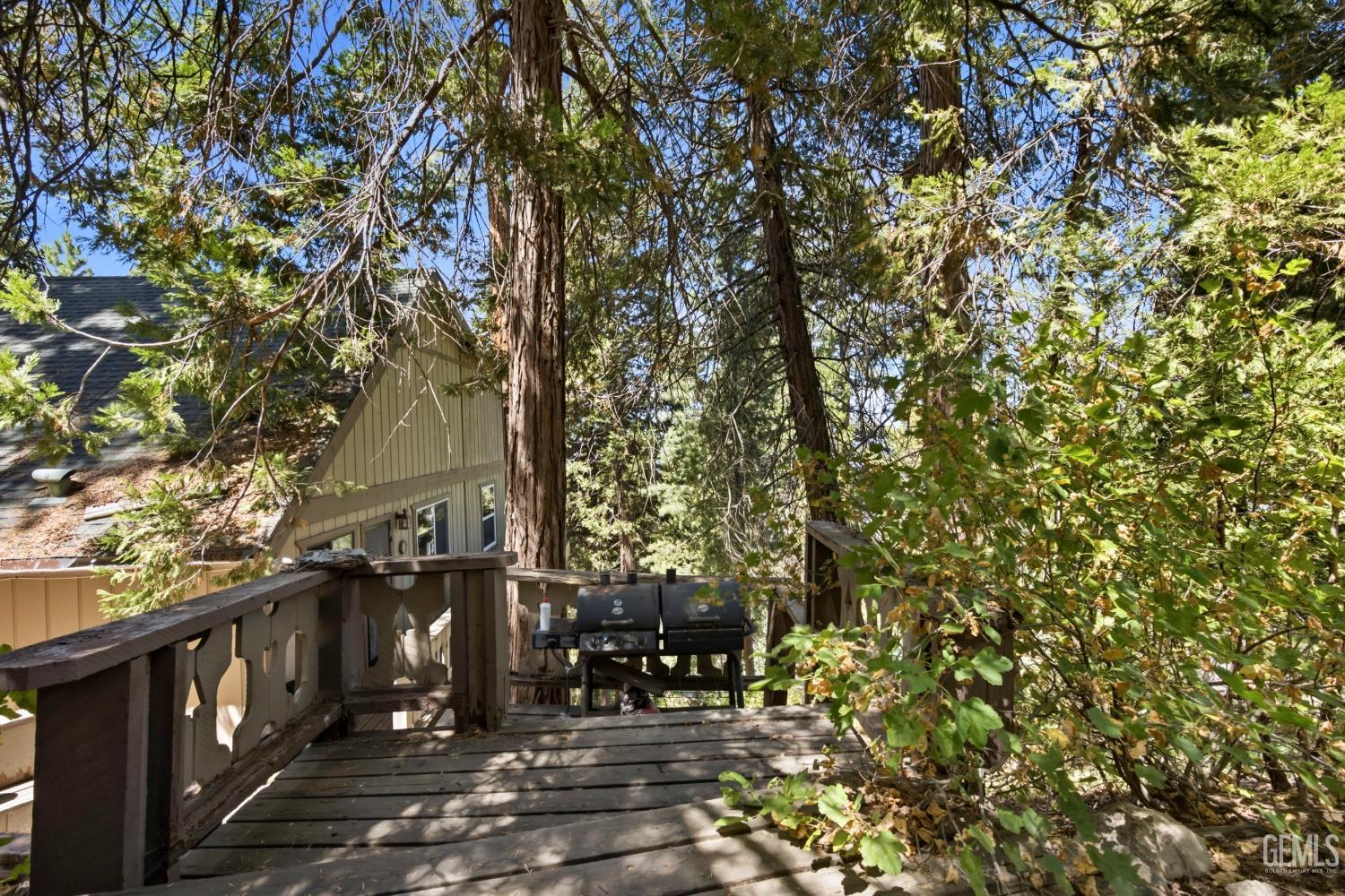 48663 Benson Trail, Posey, CA 93260 — photo 43