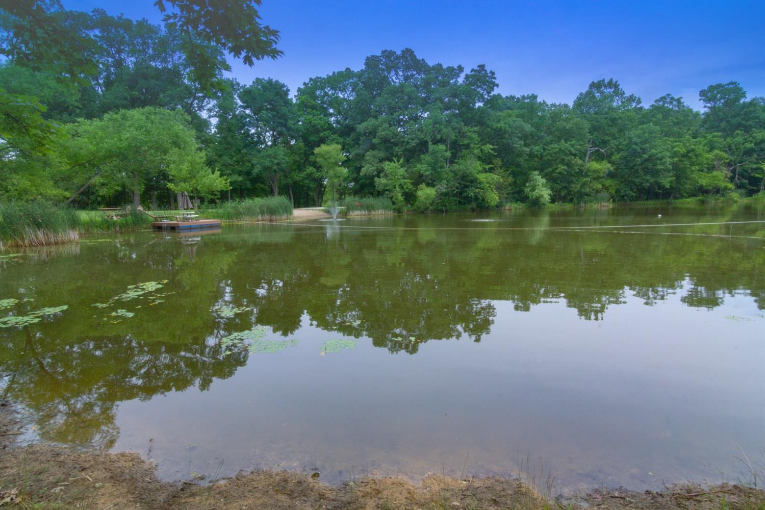 2247 Moore Saur Road