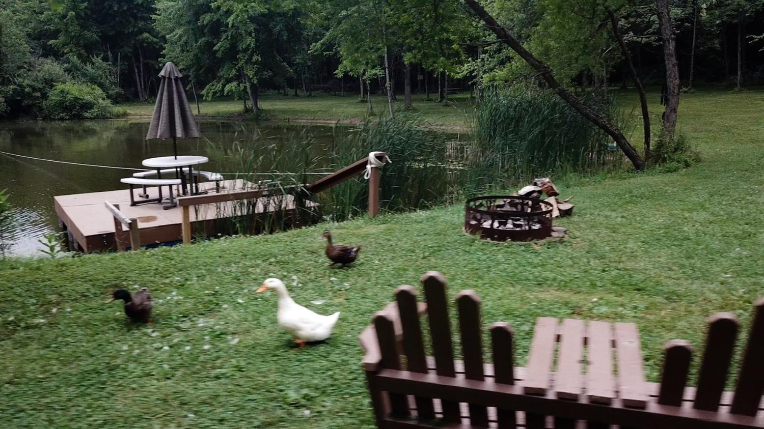 2247 Moore Saur Road