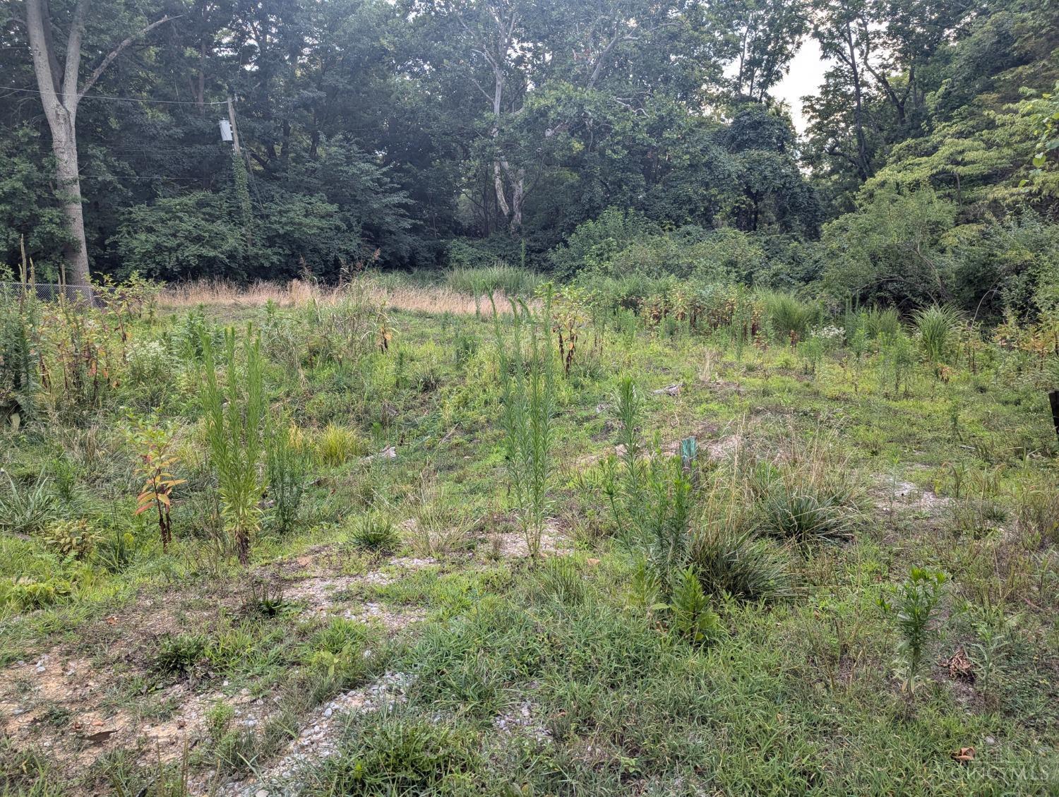 7053 Paddison Road, Anderson Twp, OH, 45230