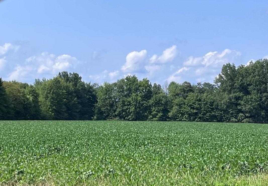 3517 Bardwell West Road, Green Twp, OH, 45154