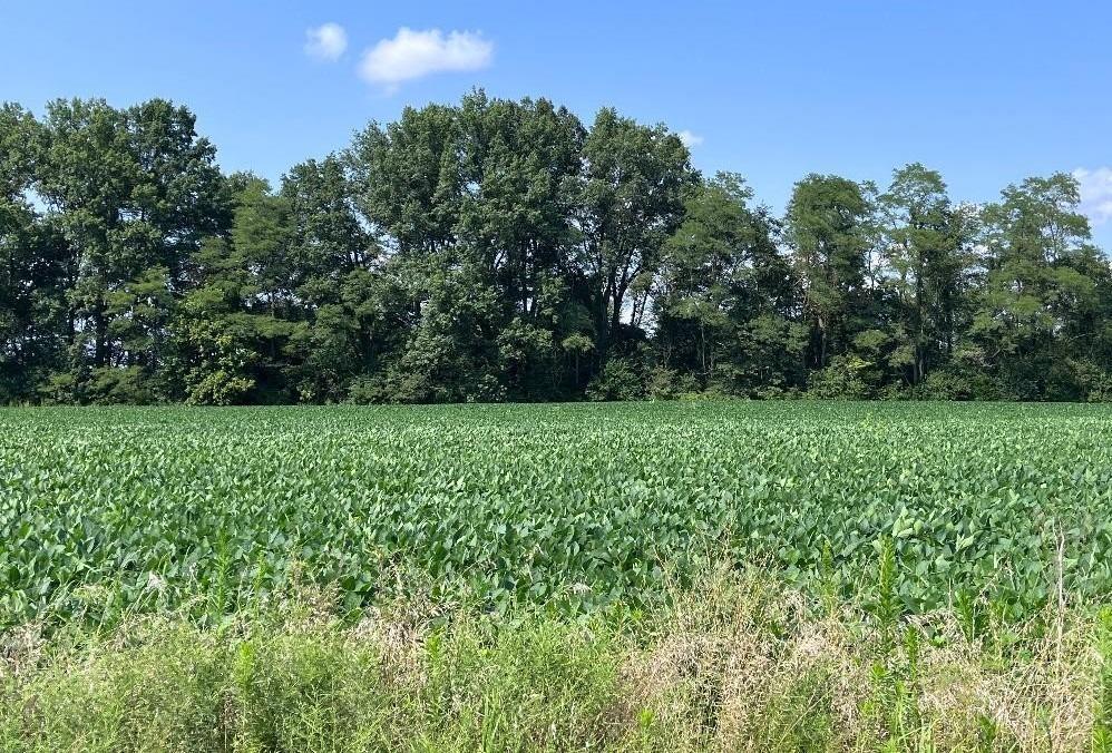 3517 Bardwell West Road, Green Twp, OH, 45154 — photo 2