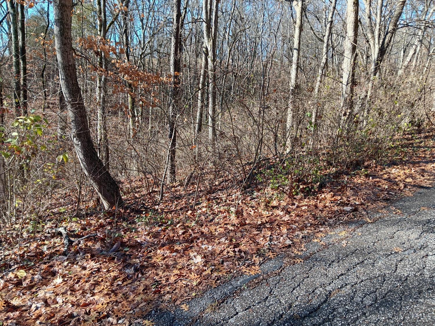 Alpine Terrace, Pierce Twp, OH, 45157