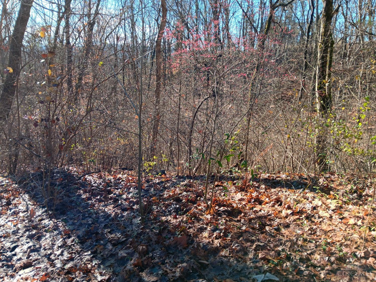 Alpine Terrace, Pierce Twp, OH, 45157 — photo 2