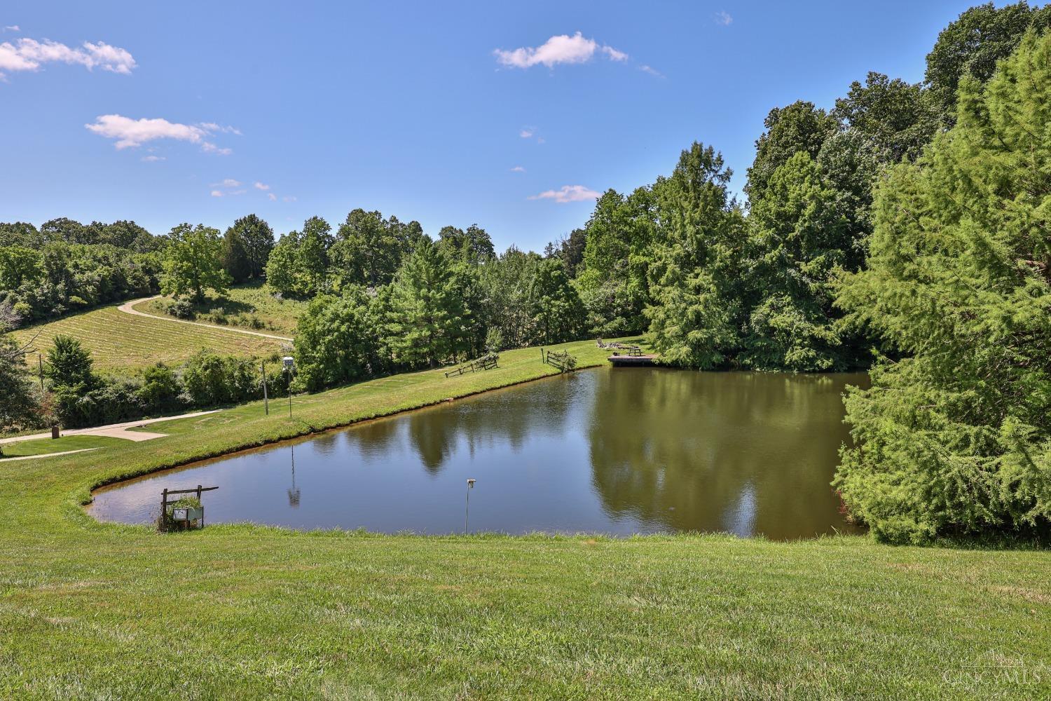 11600 Long Branch Road, Moores Hill, IN, 47032 — photo 44