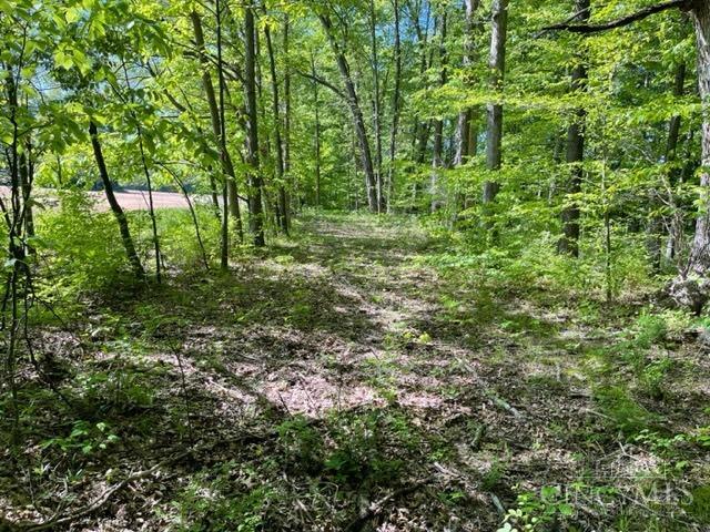 3526 Starling Road, Tate Twp, OH, 45106 — photo 7