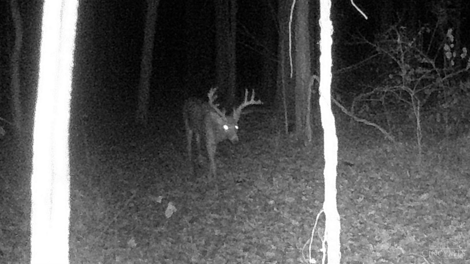 Homes for sale in Tate Twp, OH | 3526 Starling Rd, Tate Twp, OH 45106 | MLS# 1832720