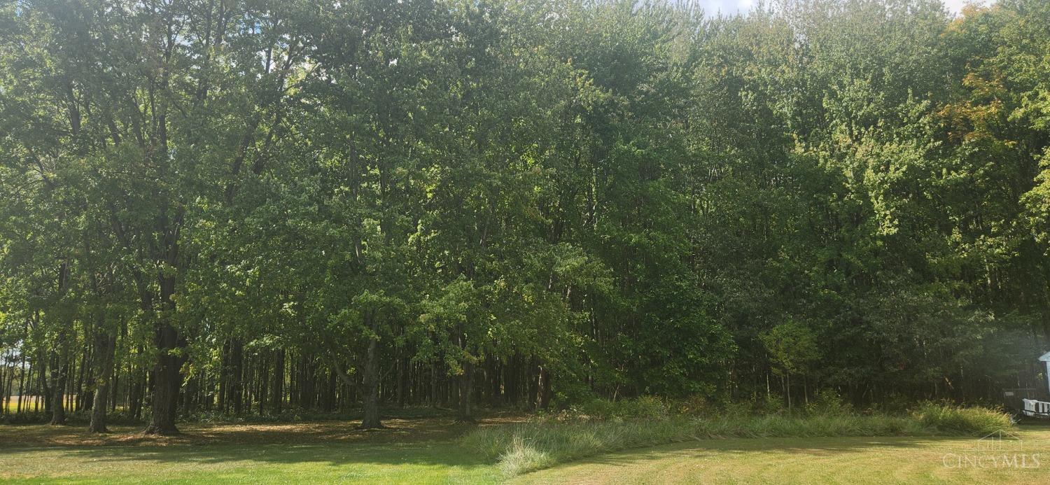2089 St Rt 133, Tate Twp, OH, 45106 — photo 4