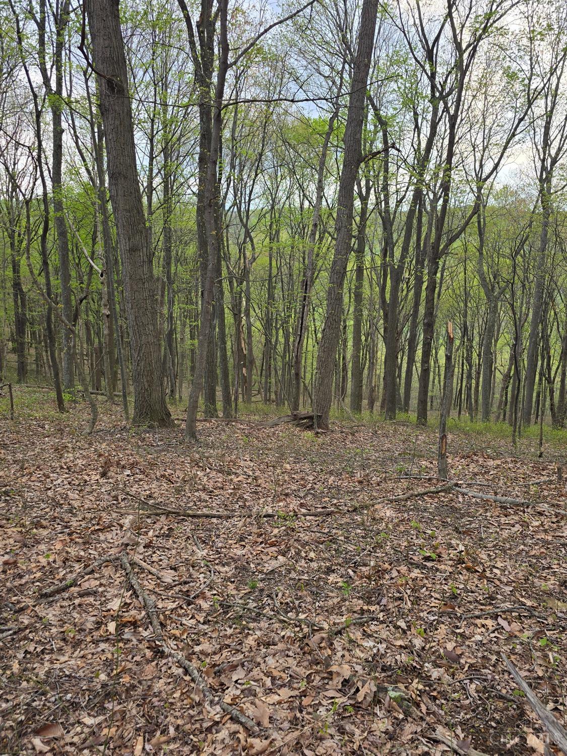 0 Hog Run Road