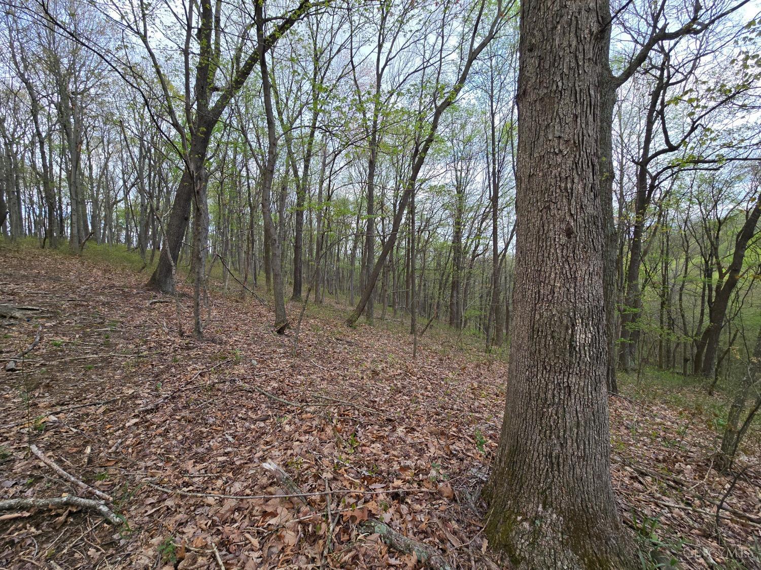 0 Hog Run Road