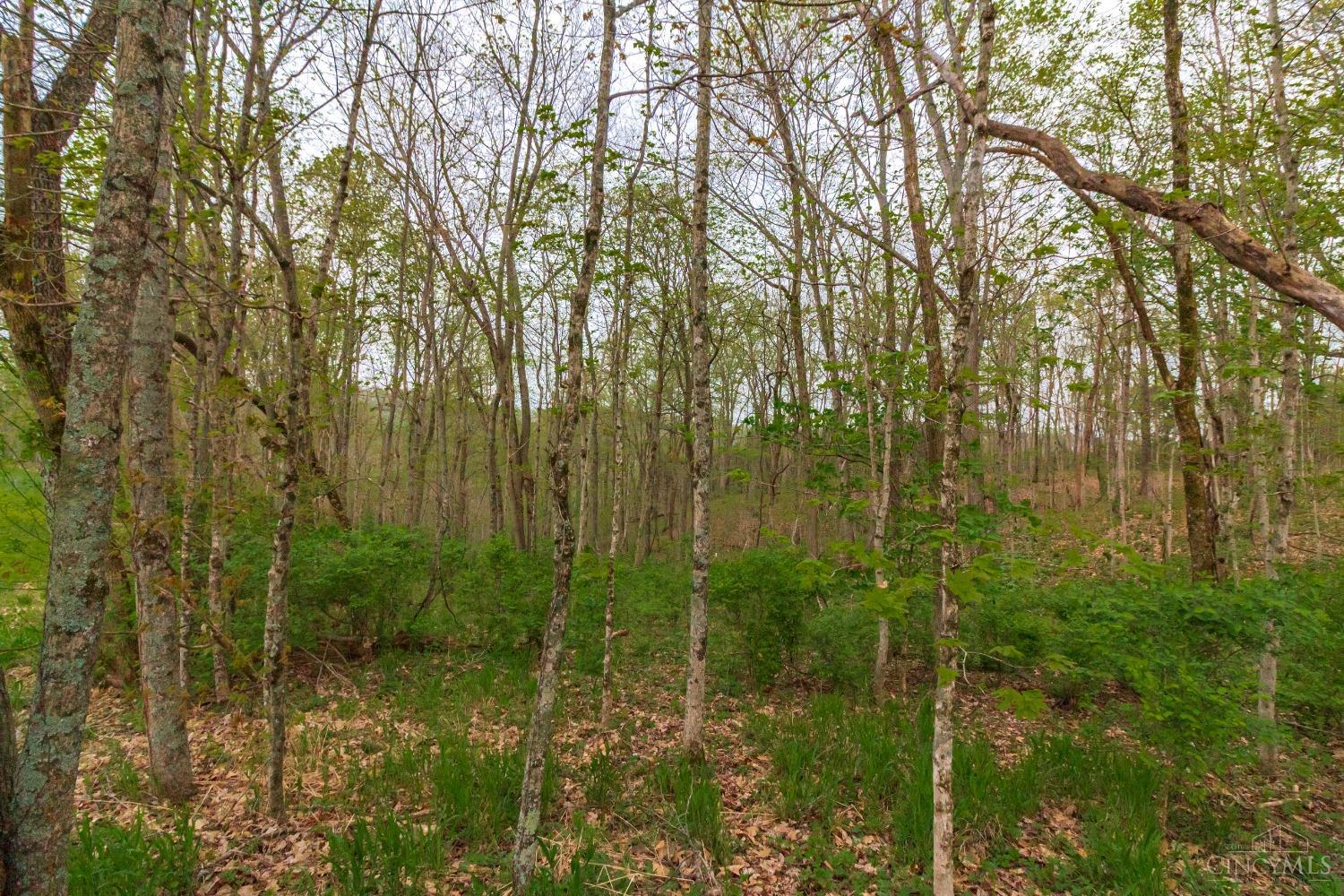 5490 Brier Ridge Road