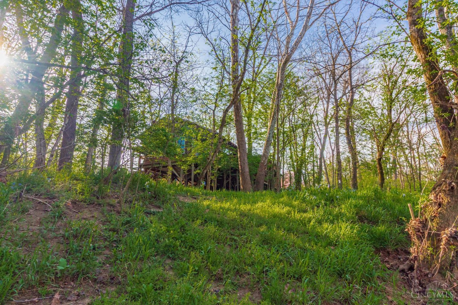 1225 Stoney Road