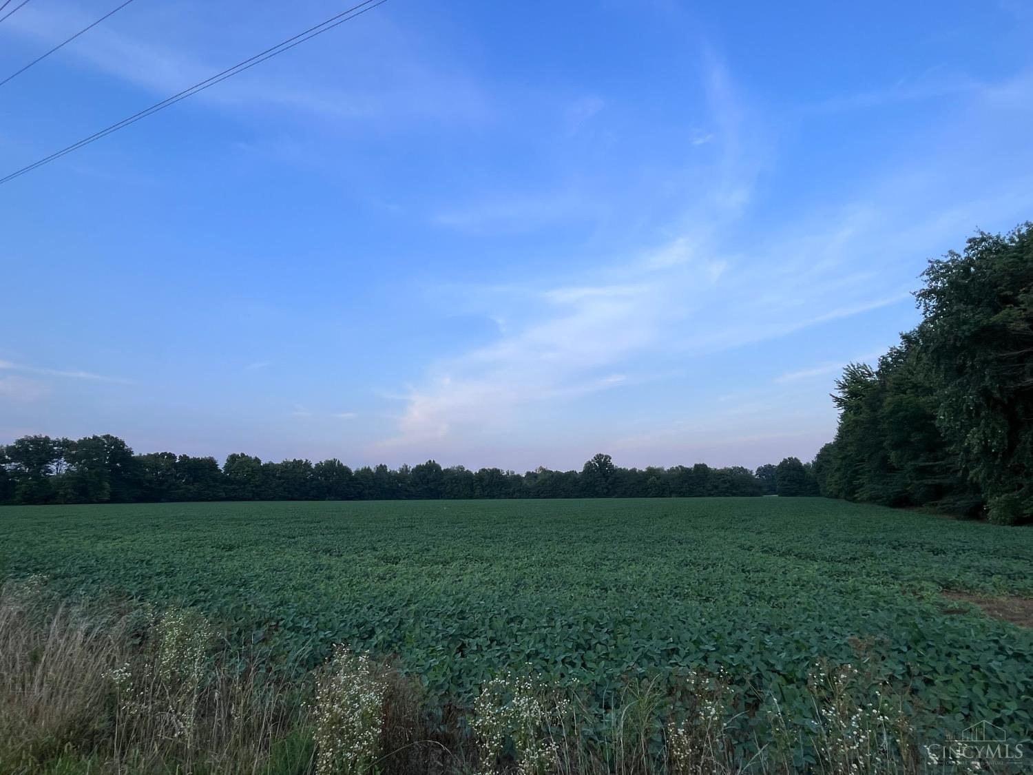 3517 Bardwell West Road, Green Twp, OH, 45154 — photo 4