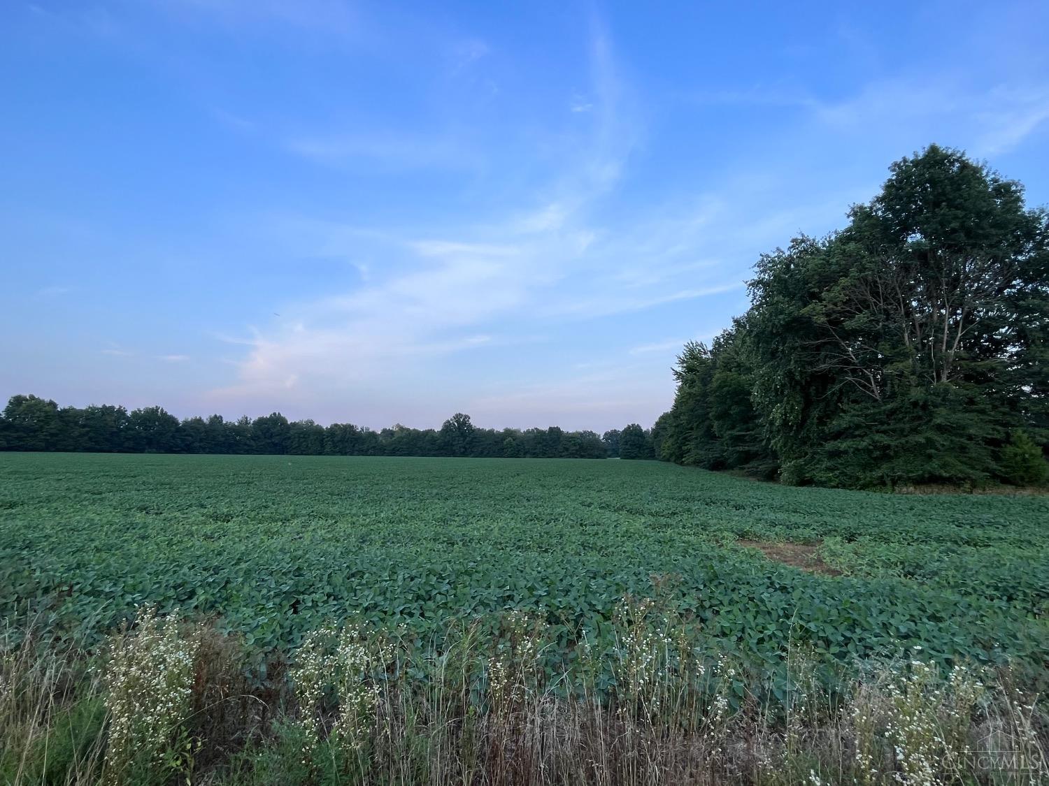 3517 Bardwell West Road, Green Twp, OH, 45154 — photo 3